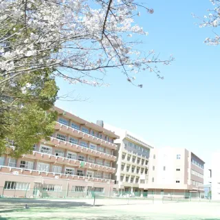 学校案内